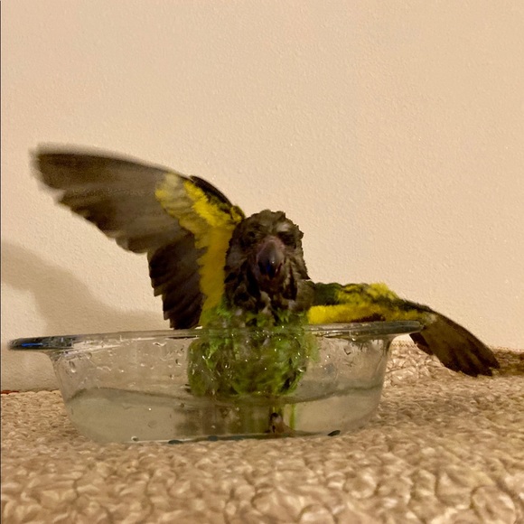 Meet your Posher, Christina - Picture 2 of 5